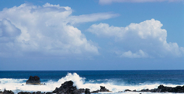 男子和狗靠吃生鱼喝雨水 太平洋漂流2月获救