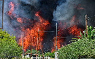 组图：希腊24小时内81处野火 逾千儿童撤离