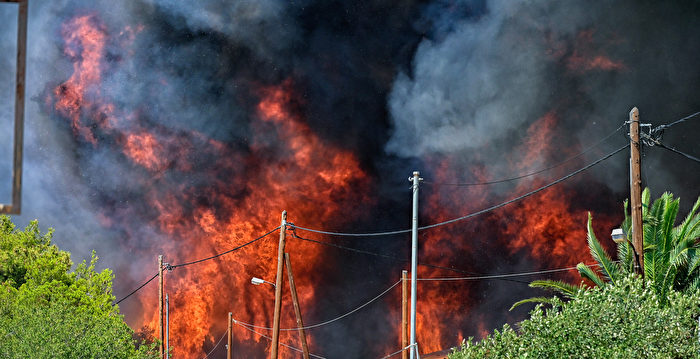 组图：希腊24小时内81处野火 逾千儿童撤离