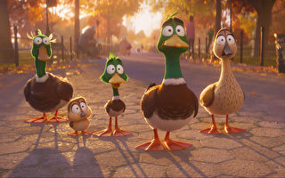 《飞鸭向前冲》搞笑鸭子家庭展开冒险旅程