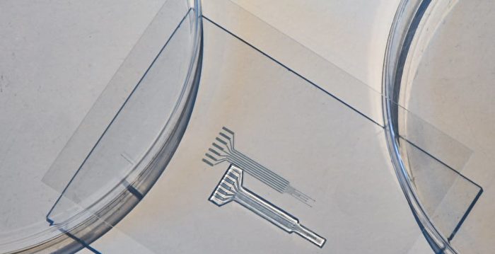 MIT研发出一款可打印的无金属柔性电极
