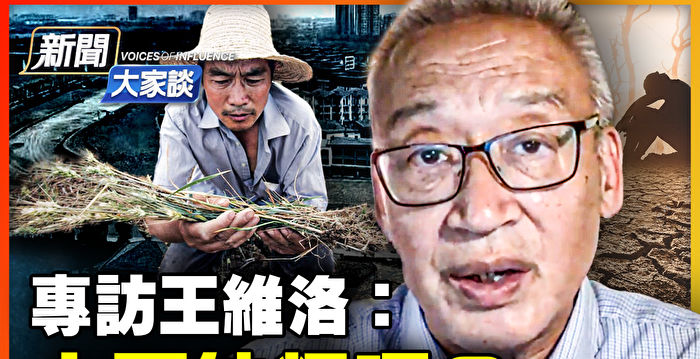 【新闻大家谈】专访王维洛：中国缺粮吗？