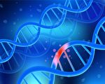 DNA受伤让人变老 易致癌 名医教你护DNA最佳方法