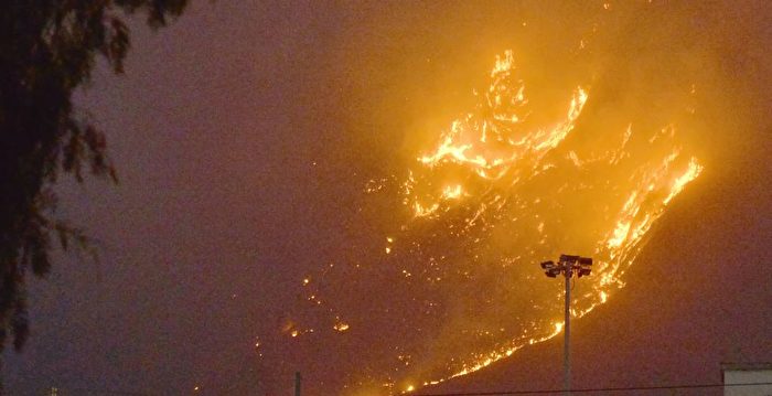 意大利遭遇高温和野火 西西里岛机场暂闭