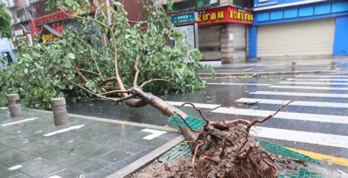 台风杜苏芮夹狂风暴雨登陆福建 民：好吓人