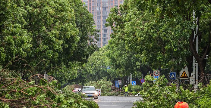 “杜苏芮”超强风力达17级 将北上影响京津冀