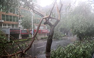 杨宁：大暴雨与强台风侵袭 再示警中南海
