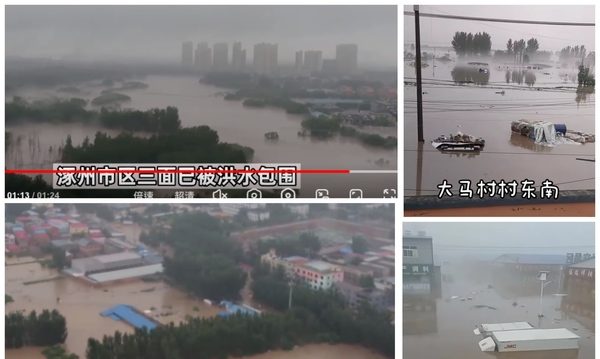 洪水肆虐 涿州求救声惨烈 白沟村民大逃亡