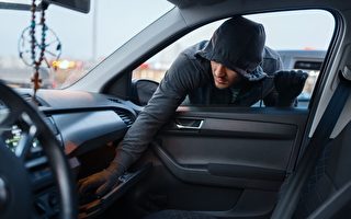 车内电子设备或助窃贼行窃