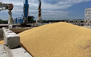 黑海掃雷協議為烏克蘭穀物出口保駕護航