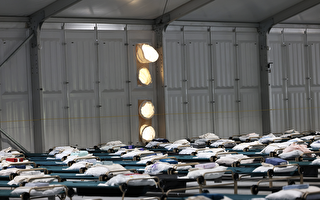 紐約市府考慮在城市綠地設難民帳篷營地