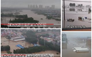 千百度：洪灾突袭，河北涿州一片乱象
