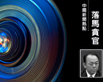 廣州前副書記羅冀京落馬 曾因砍樹事件被免職