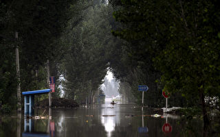 組圖：洪災水未退 保定公布傷亡數據民眾不信