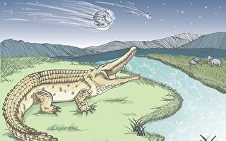 台灣發現生物史上最大爬蟲類：豐玉姬鱷化石