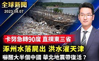 【全球新闻】洪水灌天津 涿州水落尸出