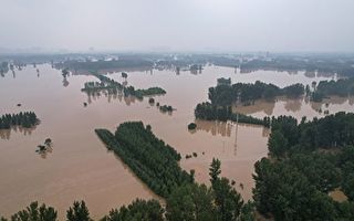 袁斌：涿州几乎全境被淹，为何市政府没被淹？