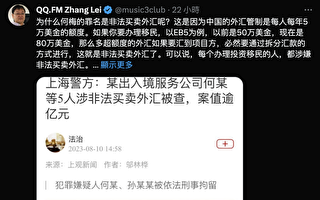 上海移民龍頭公司老闆被抓 學者：後果很可怕