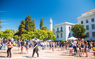 加州大学本州生录取比去年提高3.5%