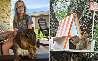 組圖：德州女孩為孤兒松鼠造樹屋 走紅網絡