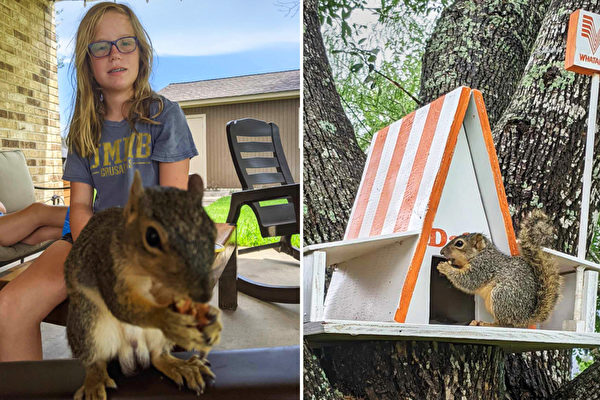 组图：德州女孩为孤儿松鼠造树屋 走红网络