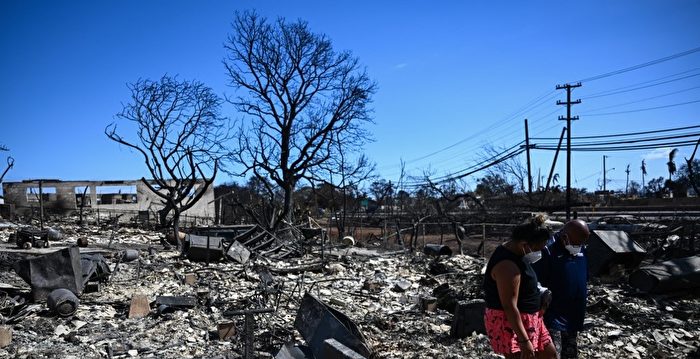 发生野火时 跳入大海或泳池中安全吗?