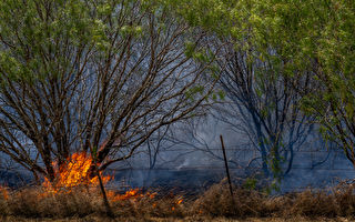 德州州長向191個郡發布野火災難聲明