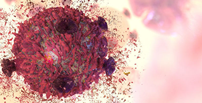 科学家发现让癌细胞自我毁灭的新方法