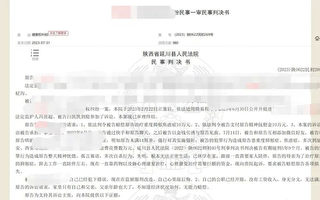 陕西法院公开13岁少女强奸案个人信息 引争议
