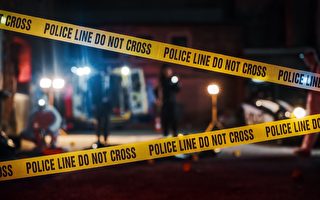 襲擊懷孕的妻子後 槍擊警官 灣區男子被控謀殺未遂
