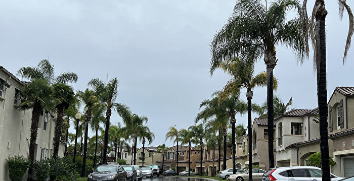 热带风暴Idalia或增强为飓风 本周登陆佛州