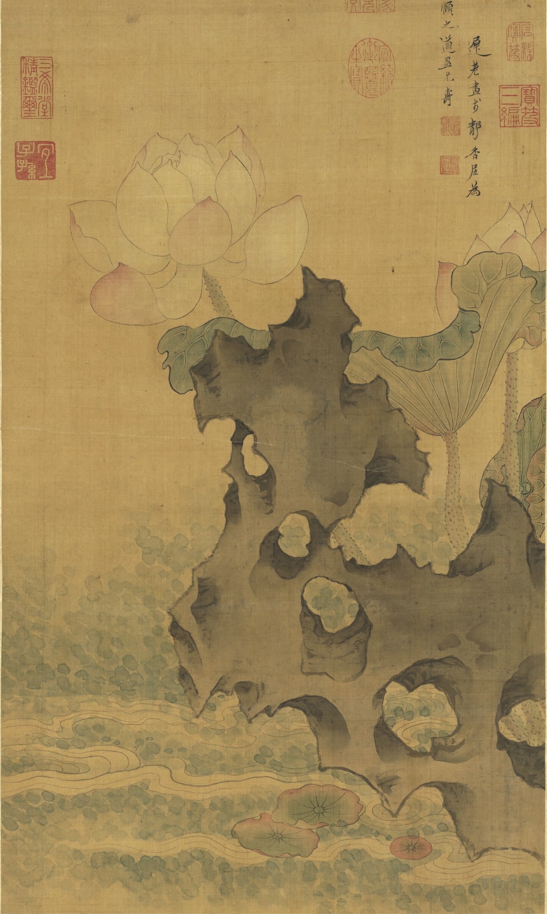 曾经备受南朝贵族青睐的植莲、采莲雅事,继续于隋唐宫苑绽放光彩。图为明 陈洪绶绘《荷花图》局部。(公有领域)