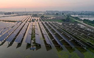印度商务部：应维持对中国太阳能零件征税