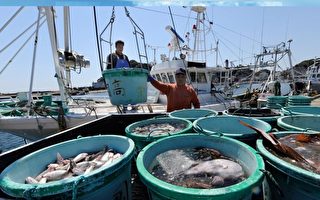 日本向世貿申訴：中共海鮮禁令完全不可接受