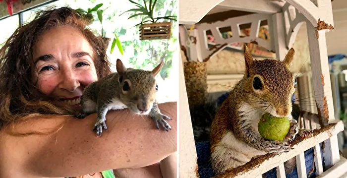 组图：松鼠喜欢拜访救它的佛罗里达一家人