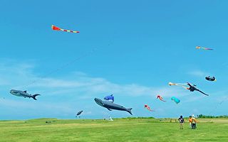 海葵来袭 新竹市国际风筝节延至9/9举行