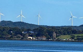 西澳首个海上风电区公众咨询11月开放