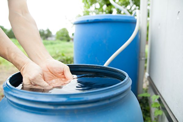 Hands Scooping Water From Rain Barrel
