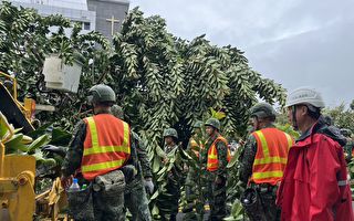 海葵颱風造成台東市路樹傾倒 國軍協助清理