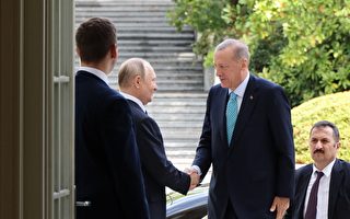 普京和土耳其总统会面 对谷物协议持开放态度