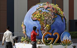 印度：G20国家接近敲定峰会联合宣言