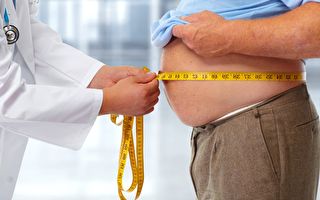 肥胖可致失智 8种减肥法 哪种适合你？