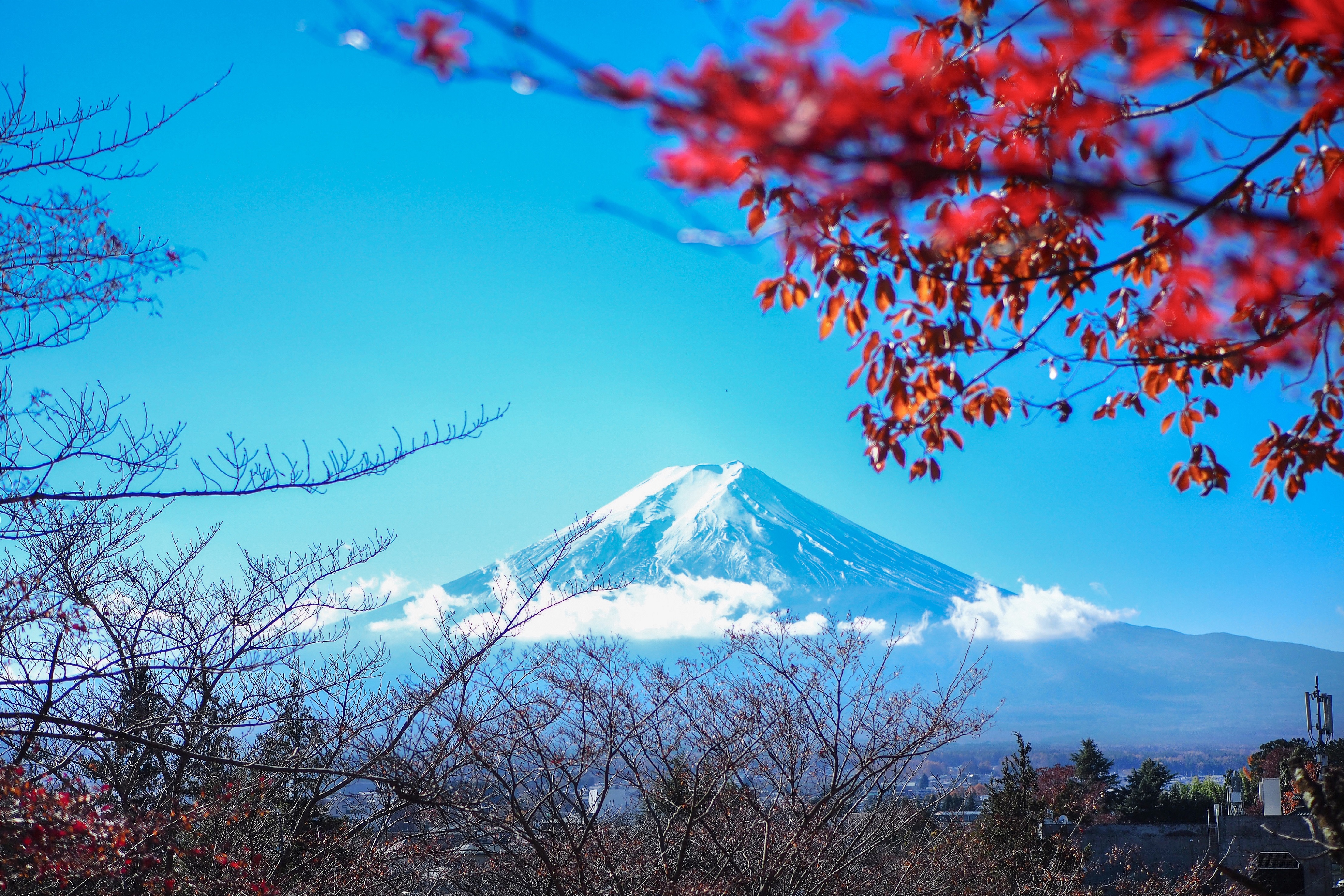 日本80岁老翁登顶2230次富士山为何吸引人？ | 先生| 登山| 象征| 大纪元