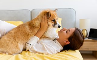 應該讓小狗舔你的臉嗎？專家解析風險