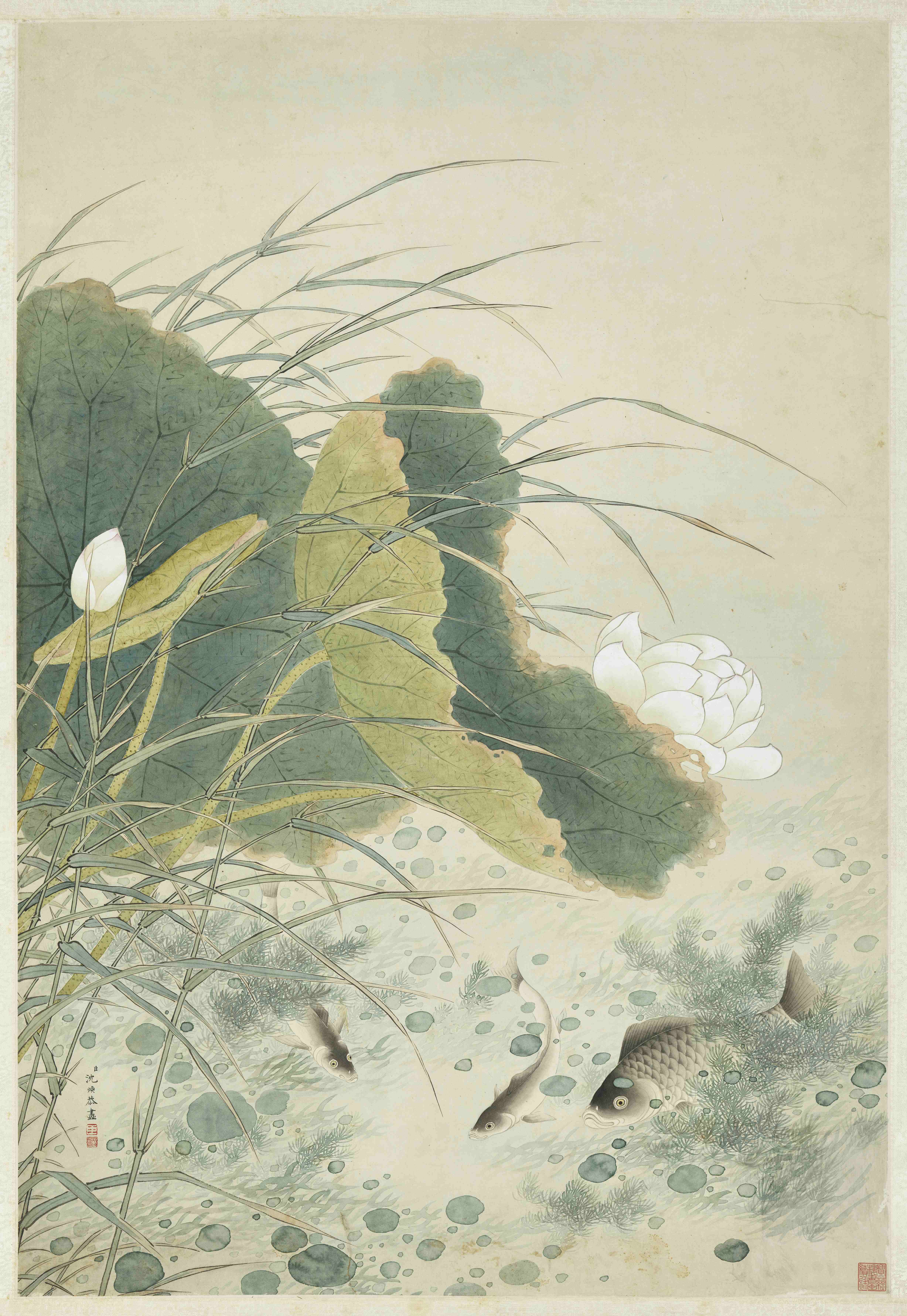 故宮南院翰墨空間新檔,色彩魔術師精彩登場,展出清 沈煥 〈蓮塘魚戲圖〉。(故宮南院提供)