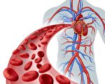 一氧化氮扩张血管、护心脏！吃7类食物可补充