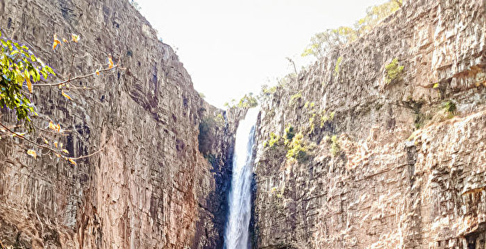 世界上最古老的木结构建筑早于人类文明