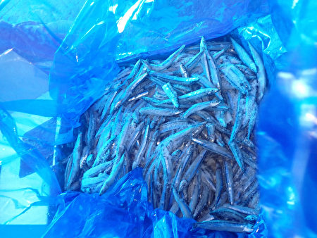 食药署26日公布边境查验不合格名单，一批从日本进口的丁香鱼被检出重金属镉超标。