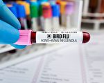 研究：人源H3N8禽流感病毒传播力强 或有爆发风险