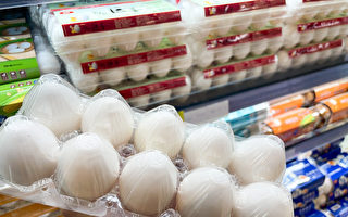 澳洲蛋吸收价差32元 台农业部：非补助